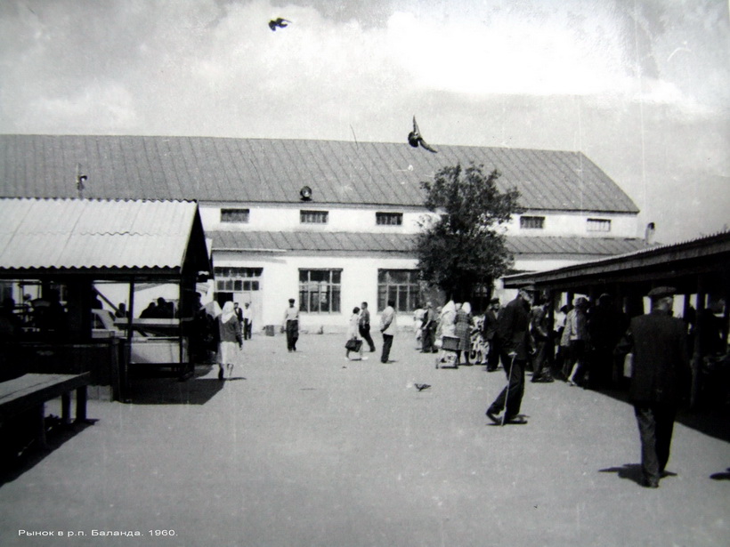   .. . 1960