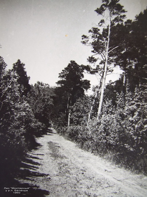  "". 1960